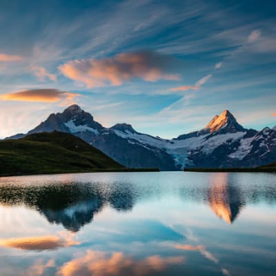 What do the franc and property say about the Swiss economy?